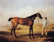 George Stubbs, Molly Longlegs with Jockey